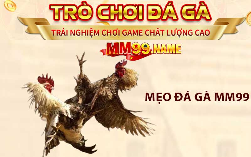 Mẹo chơi đá gà MM99 thắng