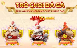 Những game gà đá hấp dẫn nhất hệ thống